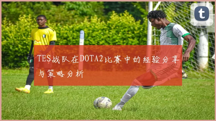 TES战队在DOTA2比赛中的经验分享与策略分析